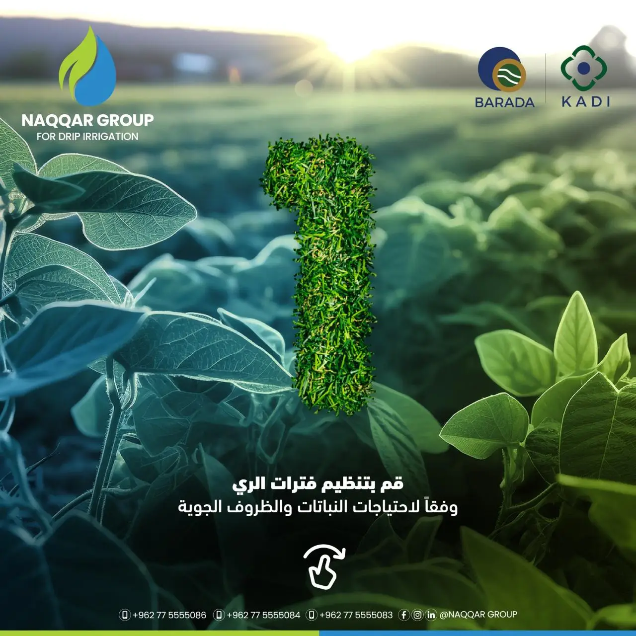 Naqqar Group irrigation projects in Jordan — smart drip and solar-powered solutions