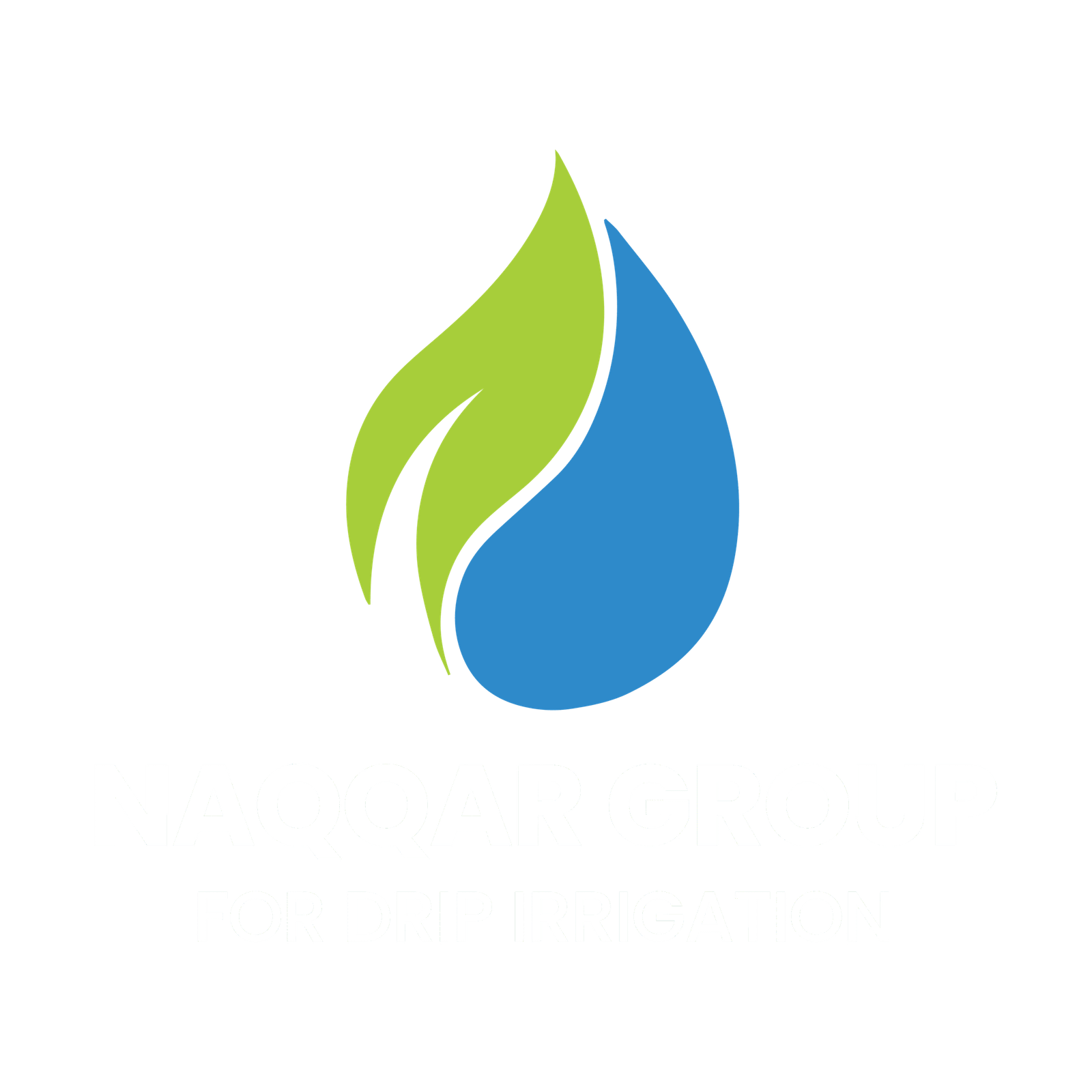 Naqqar Group Logo Light