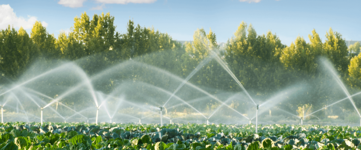 20bdabd452804c2ea7ca86325f0a7f68_51